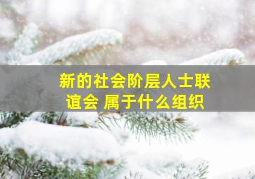 新的社会阶层人士联谊会 属于什么组织